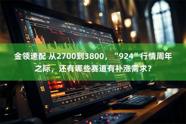 金领速配 从2700到3800，“924”行情周年之际，还有哪些赛道有补涨需求？