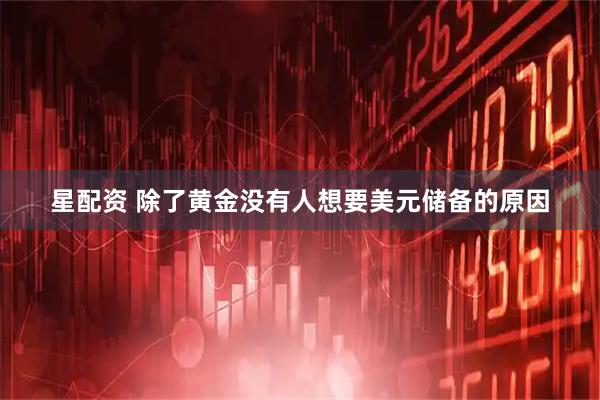 星配资 除了黄金没有人想要美元储备的原因