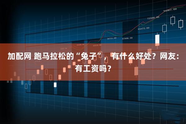 加配网 跑马拉松的“兔子”，有什么好处？网友：有工资吗？