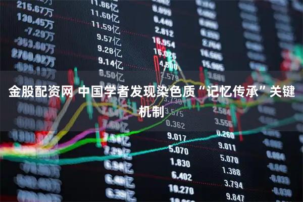 金股配资网 中国学者发现染色质“记忆传承”关键机制